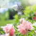 じょうろで花に水をあげている写真